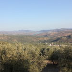 Andalusien2